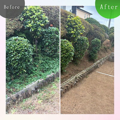 福岡県大牟田市の【ふるさと納税】実家・空き家の草刈り・草取り・剪定(大牟田市)_ 草刈り 草取り 剪定 空き家管理 実家管理 庭木手入れ 雑草対策 大牟田市 見守りサービス【1739304】｜アングル2