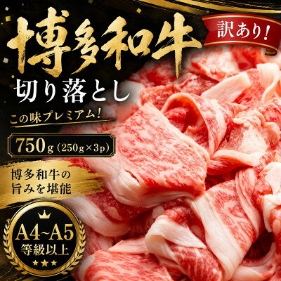 訳あり!【A4～A5】この味プレミアム!博多和牛切り落とし 750g(250g×3p)(大牟田市)_ 博多和牛 黒毛和牛 切り落とし 訳あり 小分け 肩肉 バラ肉 冷凍 牛丼 肉じゃが 美味しい 人気【配送不可地域：離島】【1744131】