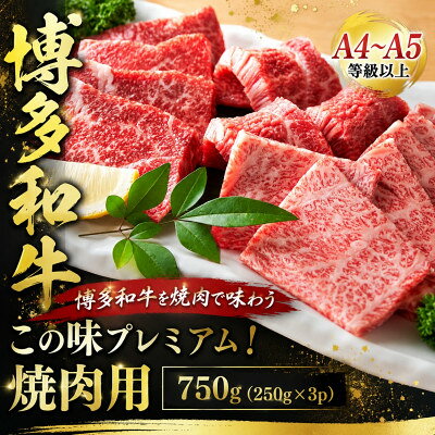 【ふるさと納税】この味プレミアム!【A4～A5】博多和牛焼肉用　750g(250g×3p)(大牟田市)【配送不可地域：離島】【1758352】 f402028-omuta-10001383 福岡県大牟田市 パッケージ画像