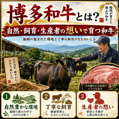 【ふるさと納税】この味プレミアム!【A4～A5】博多和牛焼肉用　750g(250g×3p)(大牟田市)【配送不可地域：離島】【1758352】 f402028-omuta-10001383 福岡県大牟田市 サンプル画像2