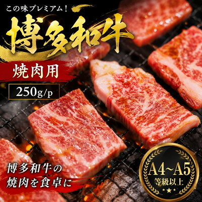 この味プレミアム![A4〜A5]博多和牛焼肉用 250g/p(大牟田市)[配送不可地域:離島]