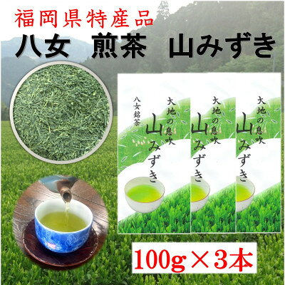 八女煎茶 山みずき 100g×3本