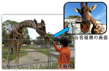 大牟田市動物園をひとりじめ！　完全プライベート動物園オンラインツアー！