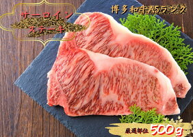 【ふるさと納税】博多和牛サーロインステーキセット500g（250g×2枚）