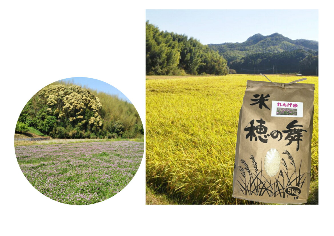 【ふるさと納税】四ケ棚田のれんげ米のサムネイル