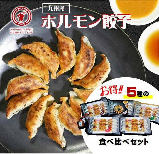 【ふるさと納税】福岡エンジェル餃子　5種食べ比べセット+お試しタレ3種