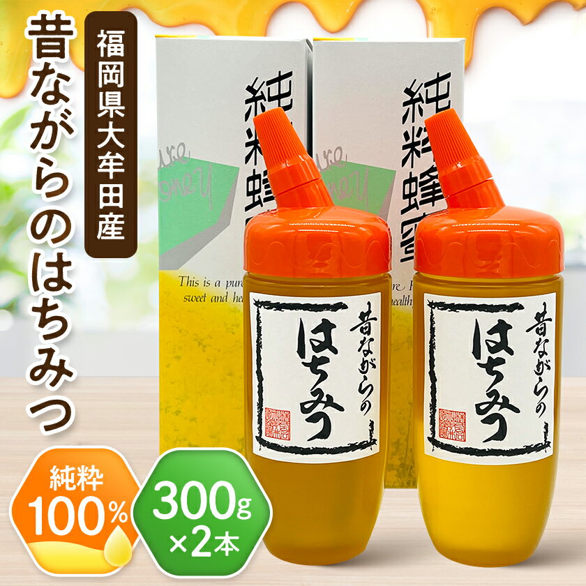 【ふるさと納税】坂井養蜂場 昔ながらの蜂蜜 300g 2本組【1093309】