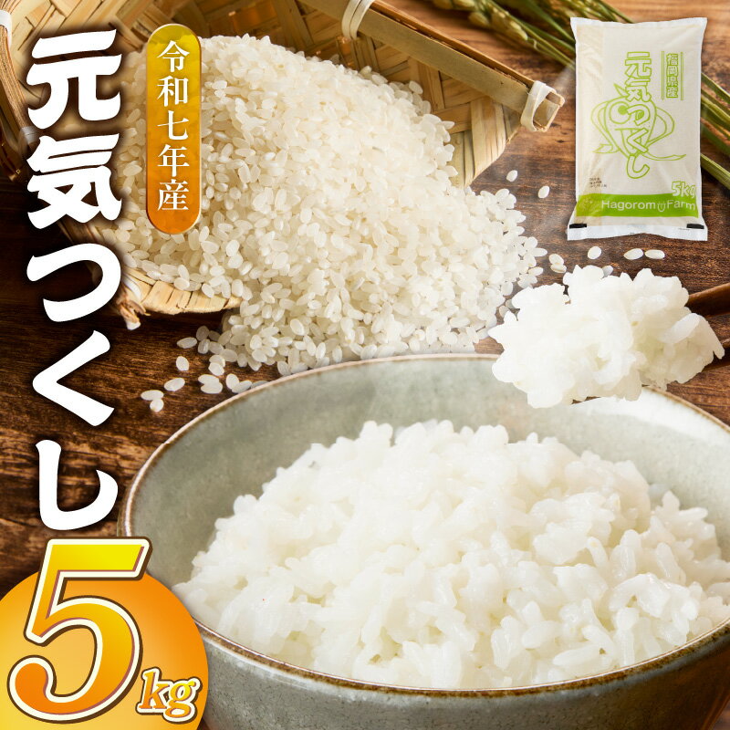 2025年 新米 元気つくし 白米 5kg 福岡県産 精米 羽衣農園 ブランド米 銘柄米 つやつや モチモチ 程よい粘り 冷めても美味しい ご飯 白ご飯 おにぎり 弁当 お米 食品 お取り寄せ 福岡県 久留米市 送料無料