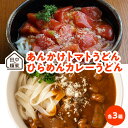 価格改定 田中の麺家あんかけトマトうどん・ひらめんカレーうどん各3箱