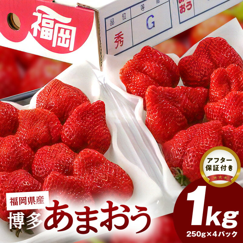 26位! 口コミ数「0件」評価「0」【先行予約】福岡県産 博多あまおう 1kg（250g×4パック）