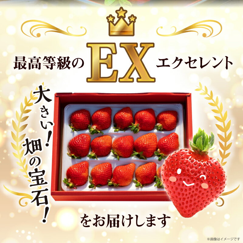 【ふるさと納税】価格改定 数量限定 いちご エクセレント 厳選 あまおう 400g 減農薬 有機質肥料 特別栽培 認定農家 うるう農園 福岡県 久留米市 採れたて 農家直送 フルーツ 果物 冷蔵 贈答用 贈り物 お取り寄せ 送料無料