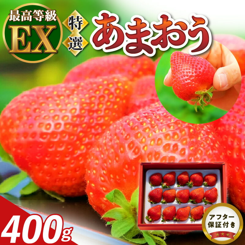 【ふるさと納税】数量限定 いちご エクセレント 厳選 あまおう 400g 減農薬 有機質肥料 特別栽培 認定...