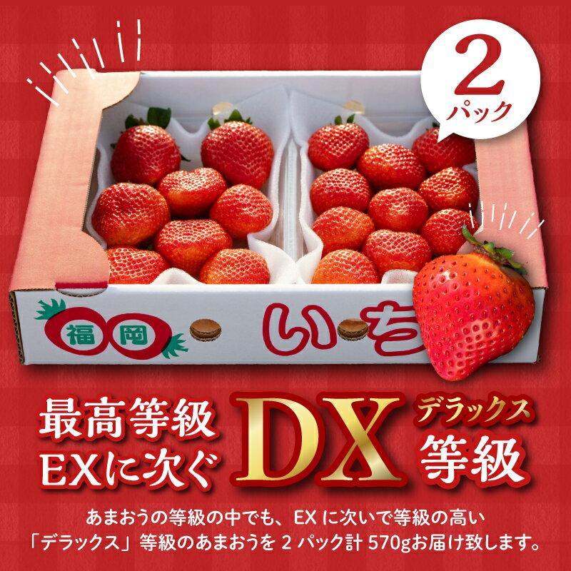 【ふるさと納税】価格改定 いちご あまおう DX等級 2パック 570g 減農薬 有機質肥料 特別栽培 認定農家 うるう農園 福岡県 久留米市 採れたて 農家直送 フルーツ 果物 冷蔵 お取り寄せ 送料無料