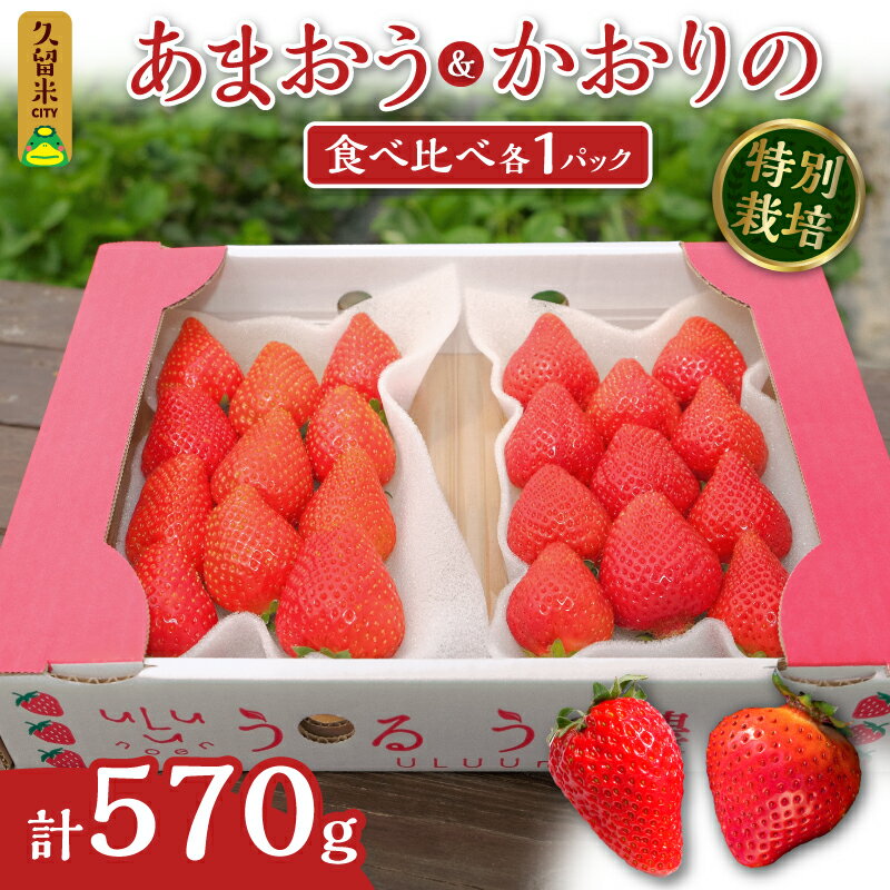 【ふるさと納税】いちごの王様と言われるおまおうと人気品種のかおりのをセットに！ いちご あまおう かおりの 人気品種 食べ比べ 2種 約285g 各 1パック 計約570g とれたて 食べごろ いちごの王様 濃厚 農家直送 甘い フルーツ 福岡県 久留米市 お取り寄せ 送料無料