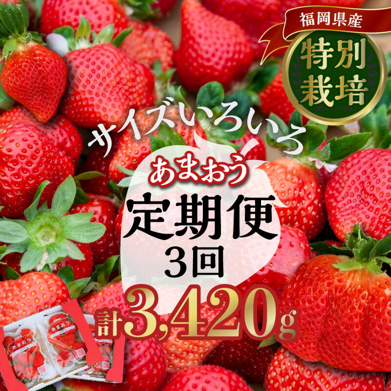 【ふるさと納税】価格改定 定期便 3回 あまおう いちご 4パック 1140g × 3回 福岡県特産 小玉 特大 サイズ サイズ色々 ストロべリー 果物 フルーツ スイーツ おやつ 冷蔵 特別栽培 有機質肥料 認証 うるう農園 久留米市 お取り寄せ 送料無料