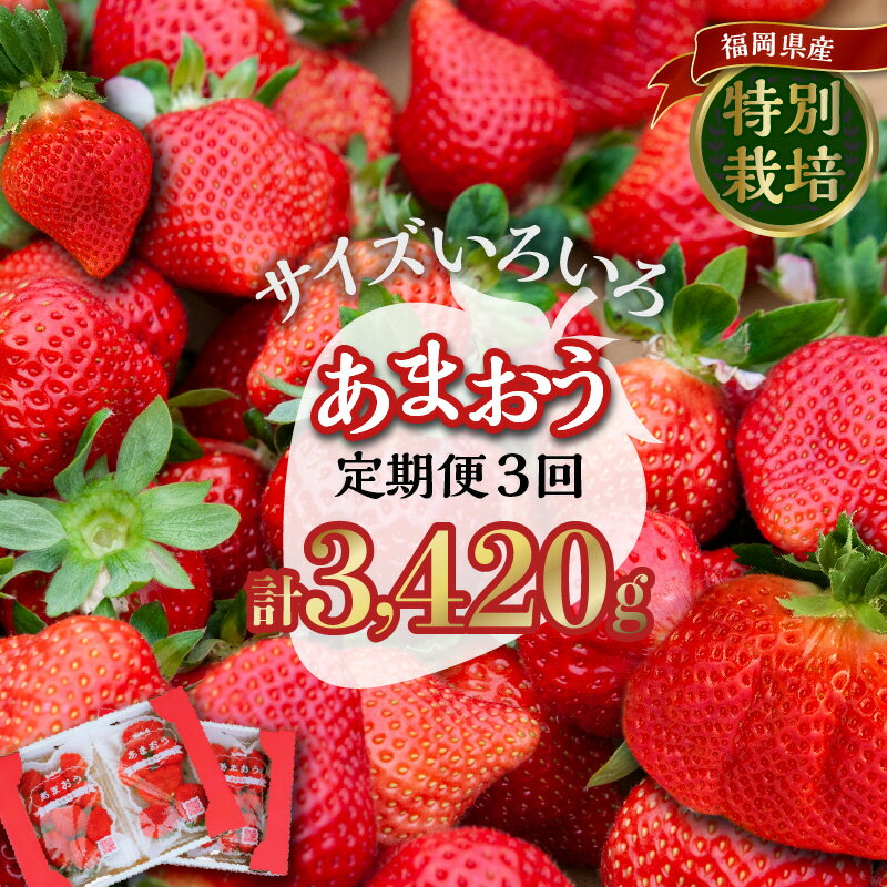 価格改定 定期便 3回 あまおう いちご 4パック 1140g × 3回 福岡県特産 小玉 特大 サイズ サイズ色々 ストロべリー 果物 フルーツ スイーツ おやつ 冷蔵 特別栽培 有機質肥料 認証 うるう農園 久留米市 お取り寄せ 送料無料