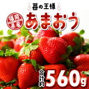 福岡県久留米市の画像3