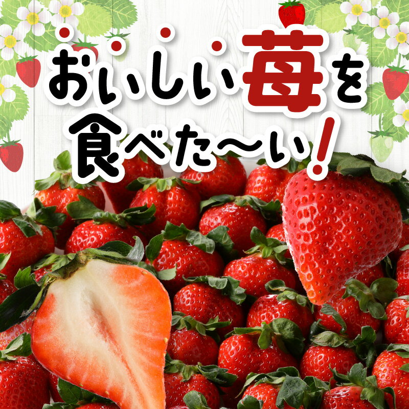 【ふるさと納税】価格改定 福岡限定 いちご あまおう 約280g×4 パック 計約1120g 希少 福岡県産 久留米市 フルーツ 果物 果汁 フルーティー ビタミンC キシリトール カリウム 食物繊維 スイーツ デザート 冷蔵 お取り寄せ 送料無料