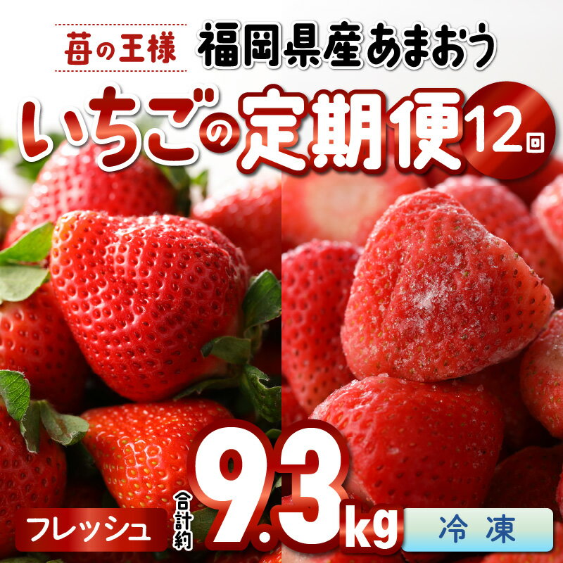 【ふるさと納税】価格改定 1年中あまおうを楽しめる いちごの年間定期便 12回 毎月発送 あまおう イチゴ 冷凍苺 計約9.3kg 食べごたえ 溢れ出す おいしい 果汁 ヨーグルト スムージー 栄養素 福岡県 久留米市 冷蔵 冷凍 果物 フルーツ スイーツ お取り寄せ 送料無料