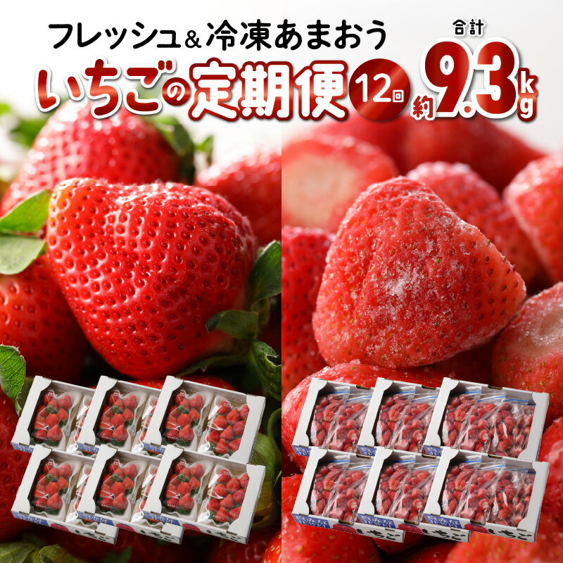 価格改定 1年中あまおうを楽しめる いちごの年間定期便 12回 毎月発送 あまおう イチゴ 冷凍苺 計約9.3kg 食べごたえ 溢れ出す おいしい 果汁 ヨーグルト スムージー 栄養素 福岡県 久留米市 冷蔵 冷凍 果物 フルーツ スイーツ お取り寄せ 送料無料