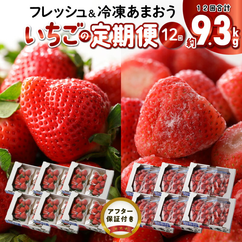 【ふるさと納税】1年中あまおうを楽しめる いちごの年間定期便 12回 毎月発送 あまおう イチゴ 冷凍苺 計約9.3kg 食べごたえ 溢れ出す おいしい 果汁 ヨーグルト スムージー 栄養素 福岡県 久…