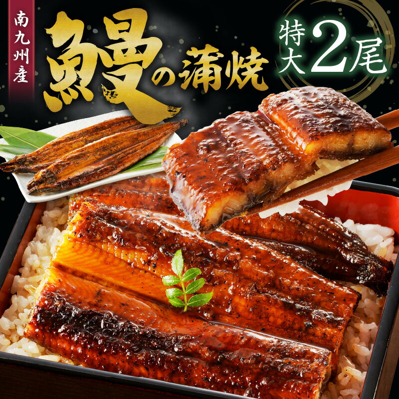 【ふるさと納税】皮はパリッと身はジューシー 特大 鰻 蒲焼き 2尾 タレ 南九州産うなぎ こだわり製法 真空パック 冷凍 柳栄館 食品 加工品 国産うなぎ うな丼 うな重 ひつまぶし 土用 丑の日 お取り寄せ お取り寄せグルメ 福岡県 久留米市 送料無料のサムネイル