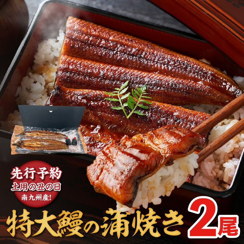 【ふるさと納税】 先行予約 【土用の丑の日】 うなぎ 蒲焼き 南九州産 170g前後 × 2尾 セット 特大 宮崎産 鹿児島産 ジューシー 冷凍 うな丼 うな重 福岡県 久留米市 お取り寄せ お取り寄せグルメ 送料無料のサムネイル
