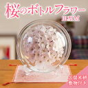 【ふるさと納税】桜 ボトルフラワー M 久留米絣 敷き物付き 皿型 インテリア かわいい おしゃれ 桜の花 ソメイヨシノ ドライ加工 まるで生花 お手入れ簡単 ...