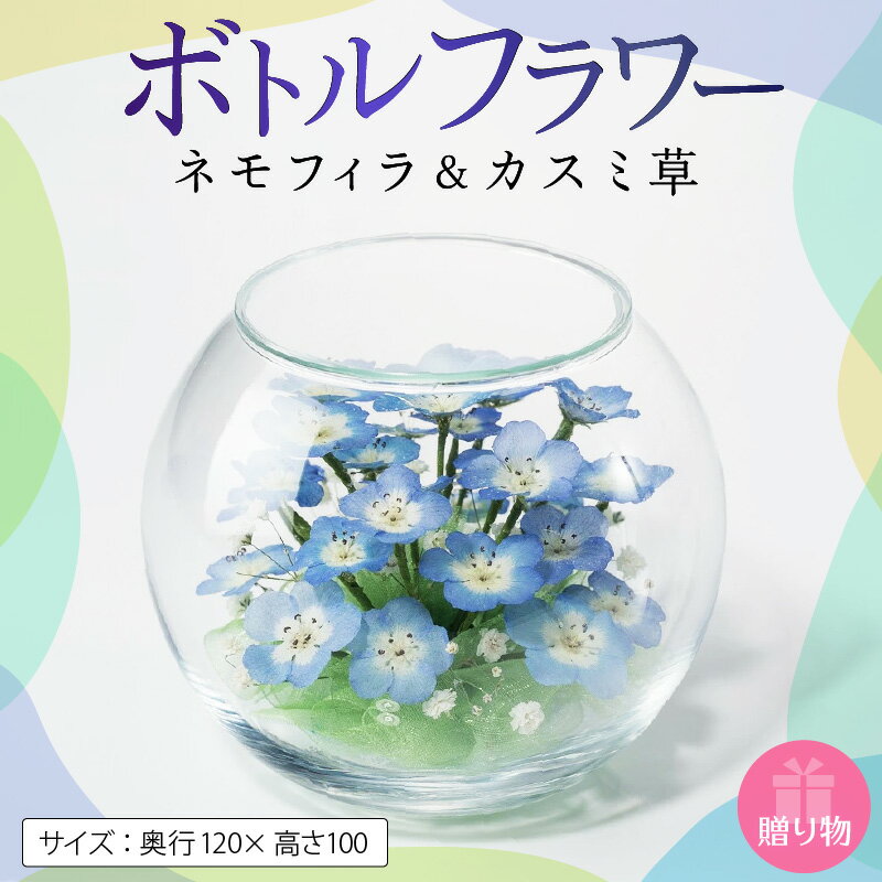 【ふるさと納税】ボトルフラワー 奥行120×高さ100 ネモフィラ カスミ草 ドライフラワー ガラス容器 インテリア 雑貨 観賞用 花 フラワー アレンジメント ギフト 贈り物 福岡県 久留米市 お取り寄せ 送料無料