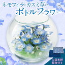 【ふるさと納税】ドライフラワー ネモフィラ カスミ草 ボトルフラワー 久留米絣 敷物 ガラス容器 生花 をドライフラワーにしたもの 花 青 清楚 ブルー お祝い 記念 ギフト プレゼント 贈り物 送料無料