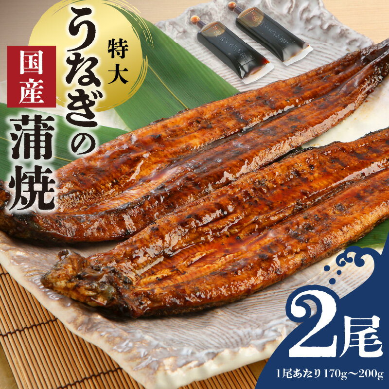 うなぎ 蒲焼 2尾 セット 特大サイズ 一尾170g〜200g たれ付き 鰻専門問屋 樋口商店 真空パック ギフト お取り寄せ グルメ うな丼 うな重 ひつまぶし お土産 手土産 贈り物 プレゼント 職人 送料無料