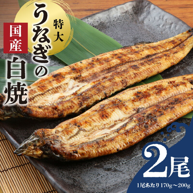 国産 うなぎ 白焼 特大 一尾 170g 〜 200g × 2尾 グルメ うなぎ白焼き 食品 加工品 魚 魚介類 おかず 惣菜 ご飯のお供 酒の肴 冷凍 パック 樋口商店 福岡県 久留米市 お取り寄せ お取り寄せグルメ 送料無料