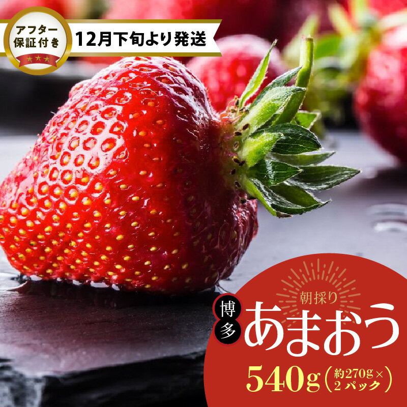 【12月下旬より順次発送】 農家直送 朝採り 新鮮 いちご 博多 あまおう 約 270g×2パック