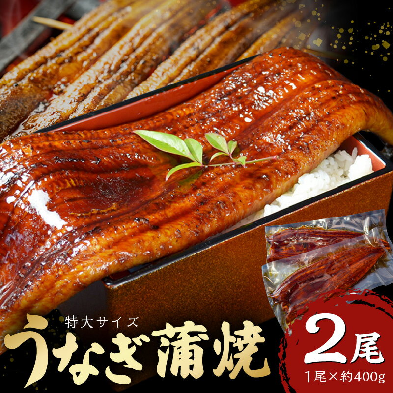 特大 うなぎ 蒲焼 無頭 約 400g 2尾 グルメ 食品 加工品 魚 魚介類 おかず 惣菜 ご飯のお供 酒の肴 うな丼 ひつまぶし お茶漬け 鰻巻き 冷凍 パック 太輔商事 福岡県 久留米市 お取り寄せ お取り寄せグルメ 送料無料