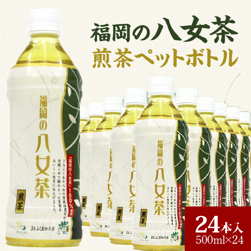 【ふるさと納税】福岡の八女茶煎茶ペットボトル500ml×24本