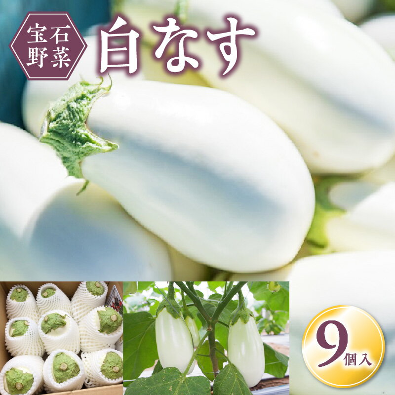 【ふるさと納税】宝石野菜 白なす