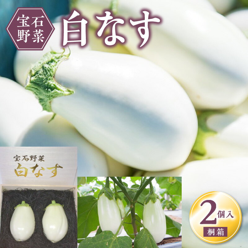 【ふるさと納税】価格改定 宝石野菜 白なす(桐箱2個入)