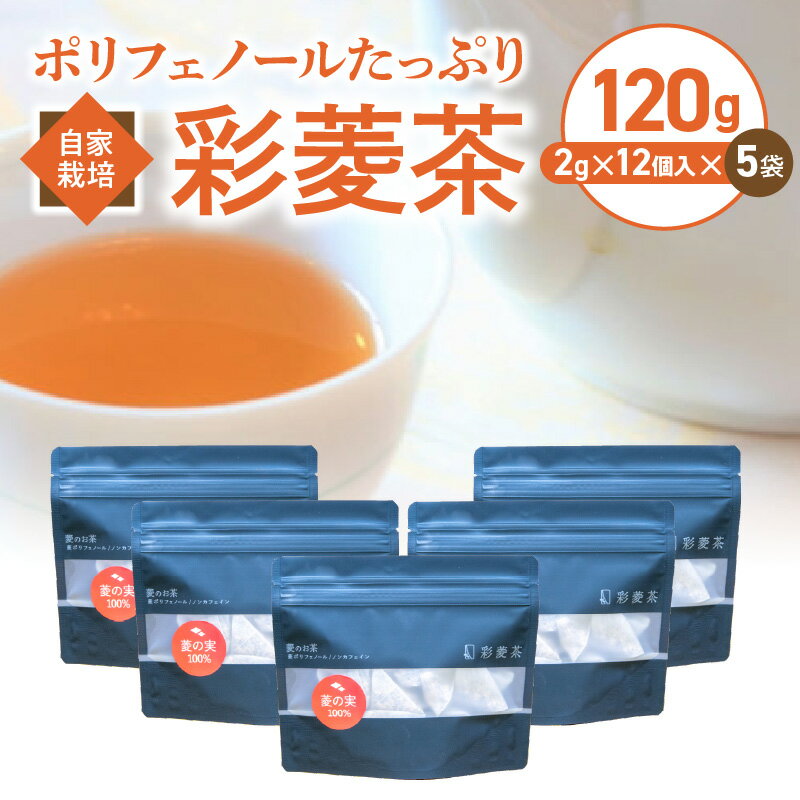 【ふるさと納税】価格改定 自家栽培 ポリフェノールたっぷり 彩菱茶　120g（2g×12袋入り）×5袋セット