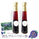 【ふるさと納税】お酢 ドリンク ブルーベリー 300ml 2本 飲むお酢 ブルーベリー酢 甘くて飲みやすい 希釈 3倍~5倍 果汁 アントシアニン 疲れ目予防 腸内環境改善 簡単 アレンジ 牛乳 炭酸 お酒 瓶 果実酒 お酢飲料 飲料 飲み物 健康 福岡県 久留米市 お取り寄せ 送料無料