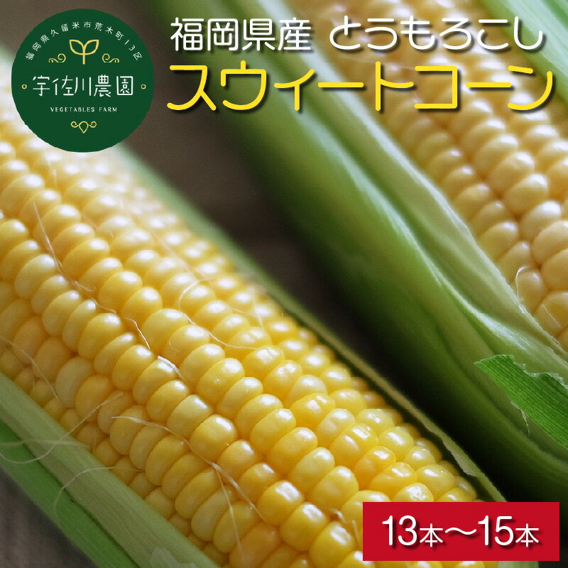 福岡県産 トウモロコシ スウィートコーン 5kg以上 13本～15本 生でも食べれる 朝どれ 甘み ジューシー 旬 野菜 食材 福岡県 久留米市 宇佐川農園 お取り寄せ お取り寄せグルメ 送料無料