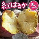 【ふるさと納税】さつまいも 紅はるか 国産 5kg 15本 ~ 18本 入 1本 約 200~350g 甘い 糖度 高い 高糖度 1ヶ月 熟成 濃厚 味わい しっとり ホクホク 常温発送 宇佐川農園 芋 焼き芋 福岡県 久留米市 お取り寄せ お取り寄せグルメ 野菜 送料無料(4)