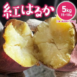 【ふるさと納税】価格改定 さつまいも 紅はるか 国産 5kg 約 200～350g 15本 ～ 18本 甘い 糖度 高い 高糖度 1ヶ月 熟成 濃厚 味わい しっとり ホクホク 常温発送 宇佐川農園 芋 焼き芋 福岡県 久留米市 お取り寄せ お取り寄せグルメ 野菜 送料無料