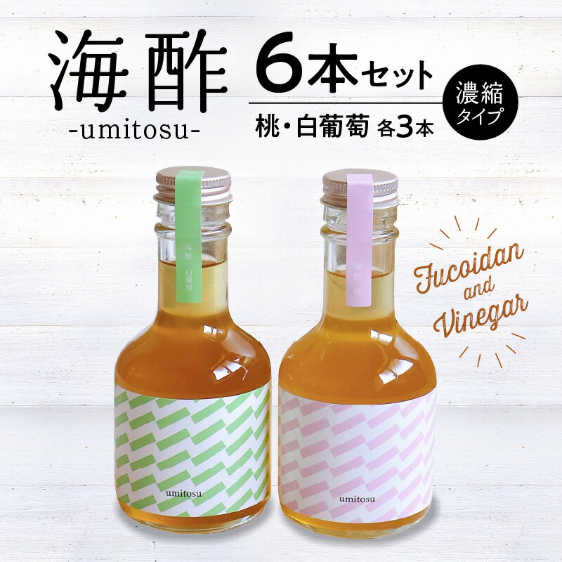 【ふるさと納税】海酢6本セット（濃縮タイプ）