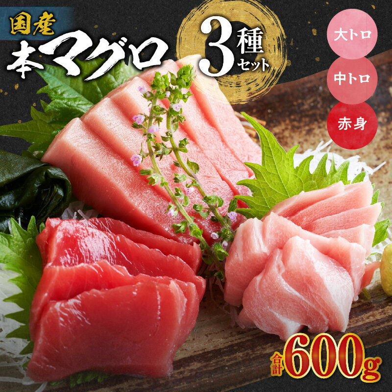 【ふるさと納税】国産本マグロ 食べ比べ セット 海鮮 海産物