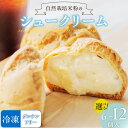 【ふるさと納税】自然栽培 米粉 シュークリーム プレーン セット 選べる 内容 6 ~ 12個 こだわり グルテンフリー 銅なべ手だき カスタード 厳選 材料 便利 個包装 お裾分け 手土産 スイーツ お取り寄せ 福岡県 久留米市 送料無料