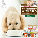【ふるさと納税】CUBE型 20個入×5袋 無添加ドッグフード 1袋300g(馬肉・豚肉・鹿肉・鶏肉・魚の中から5袋) 国産 手作り アレルギー ウェット 子犬...