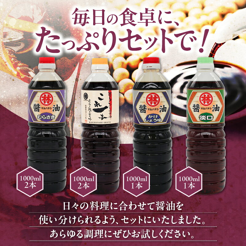 【ふるさと納税】家庭用 醤油 各1000ml 計 6本 詰め合わせ セット これ一本 だし醤油 むらさき醤油 各2本 かけ醤油 淡口醤油 各1本 料理 使い分け 相性抜群 煮炊き 佃煮 卵かけご飯 お吸い物 鍋 煮魚 お刺身 万能調味料 国産 お取り寄せ 福岡県 久留米市 送料無料