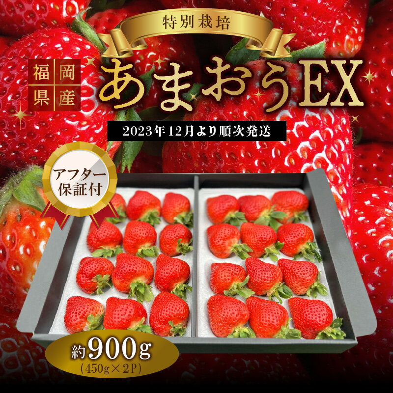 【ふるさと納税】【2023年12月より順次発送】福岡県産 あまおう 特別栽培 ギフト配送 約450g×2パック EX イチゴ フルーツ デザート 甘い 果汁 贈り物 果物 お取り寄せ 福岡県 久留米市 冷蔵発送 送料無料