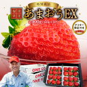 【ふるさと納税】【2026年1月より順次発送】福岡県産 あまおう 約450g×2パック エコファーマー 土づくり 化学合成農薬 化学肥料 低減 特別栽培 ギフト...