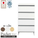 【ふるさと納税】ランドリー収納 ポケット 55 LO 大川家具 選べる カラー ホワイト つや有 ナチュラル ウォールナット 収納 完成品 お手入れ 簡単 機能...